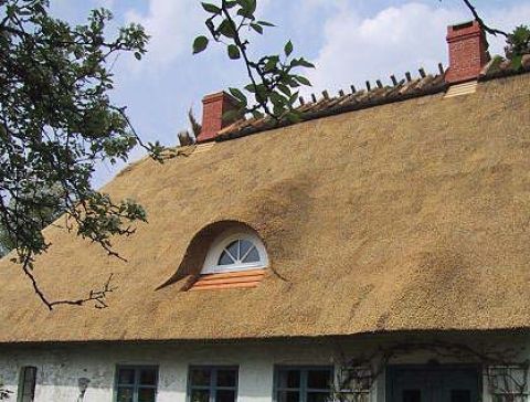 keil-stien-04.jpg