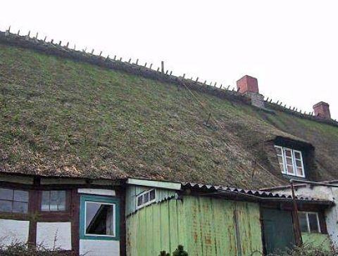clausen-05.jpg