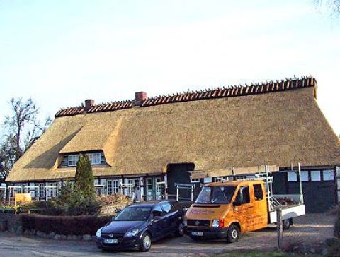 clausen-01.jpg