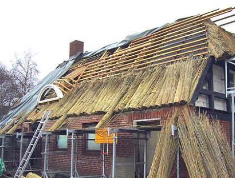 kippschull-03.jpg