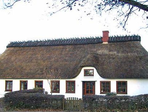 hansen-08.jpg