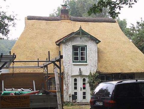 dagmar-08.jpg